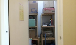 Palm Loft (D15), Apartment #162305062